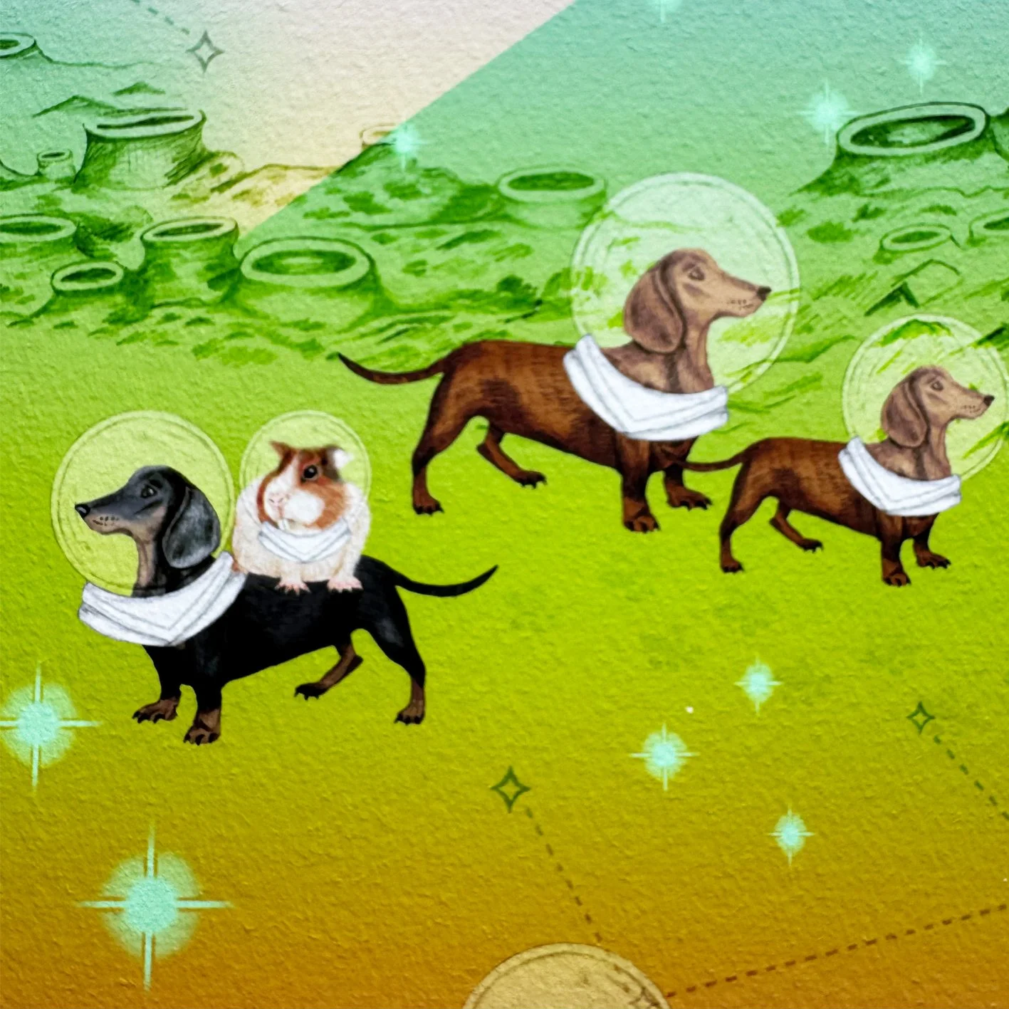 SPACE PAWS SAUSAGE DOG 0.jpg