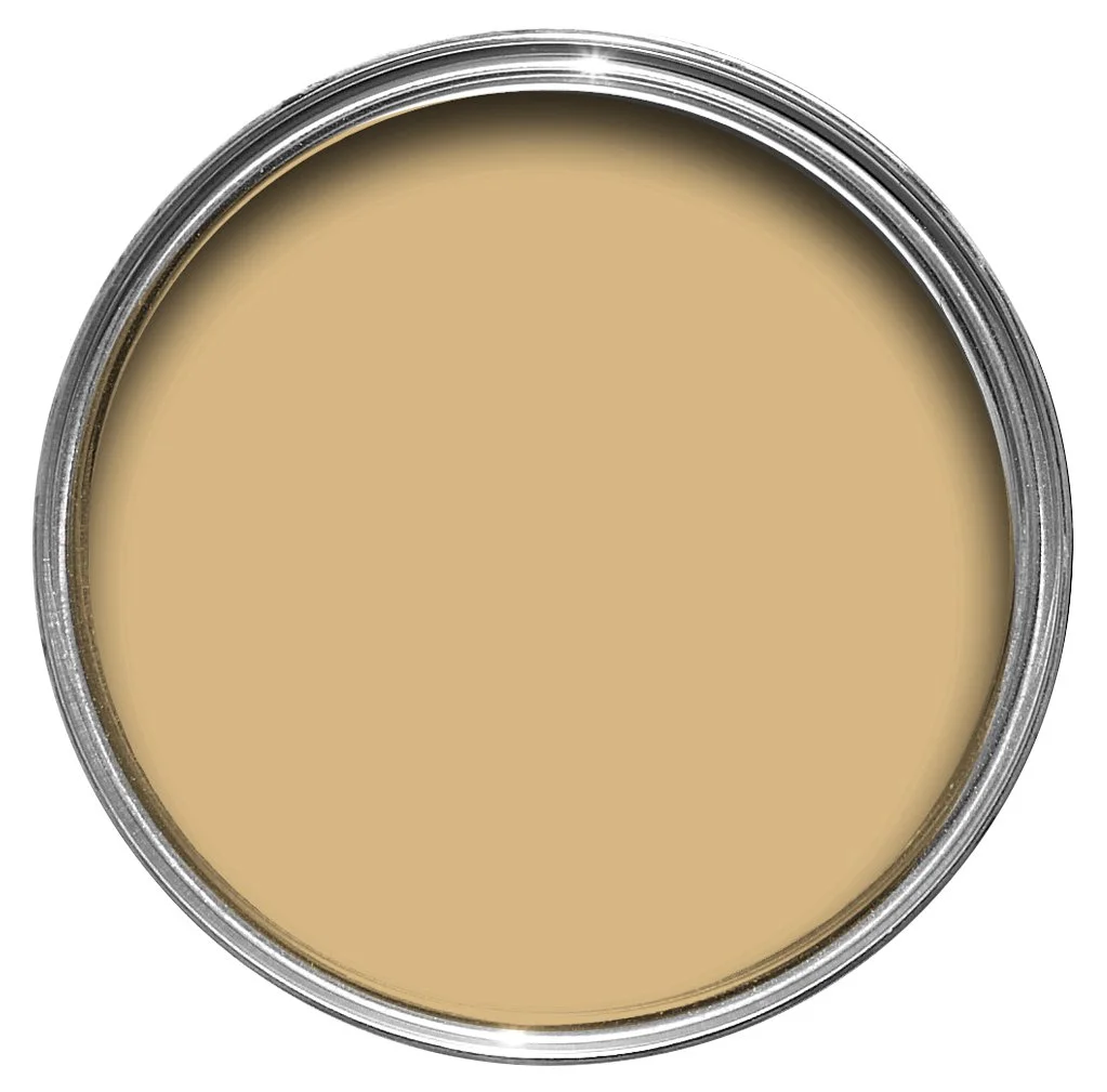 COAT PAINTS ZIGGY'S YELLOW