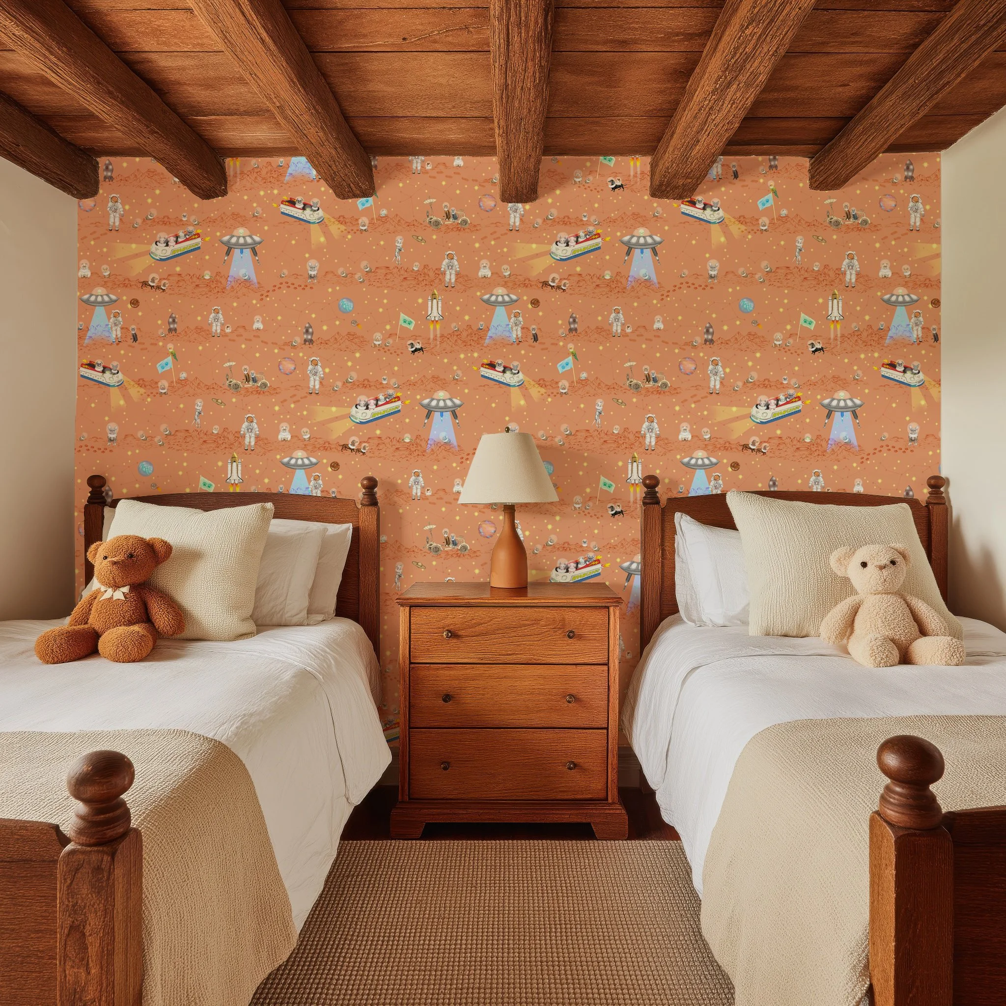 SPACE PAWS IN SUNSET