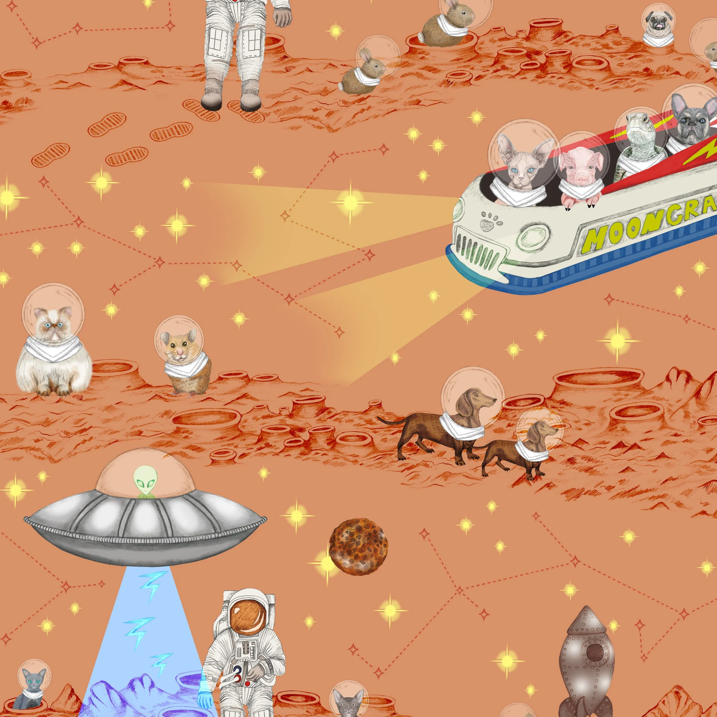 SPACE PAWS IN SUNSET