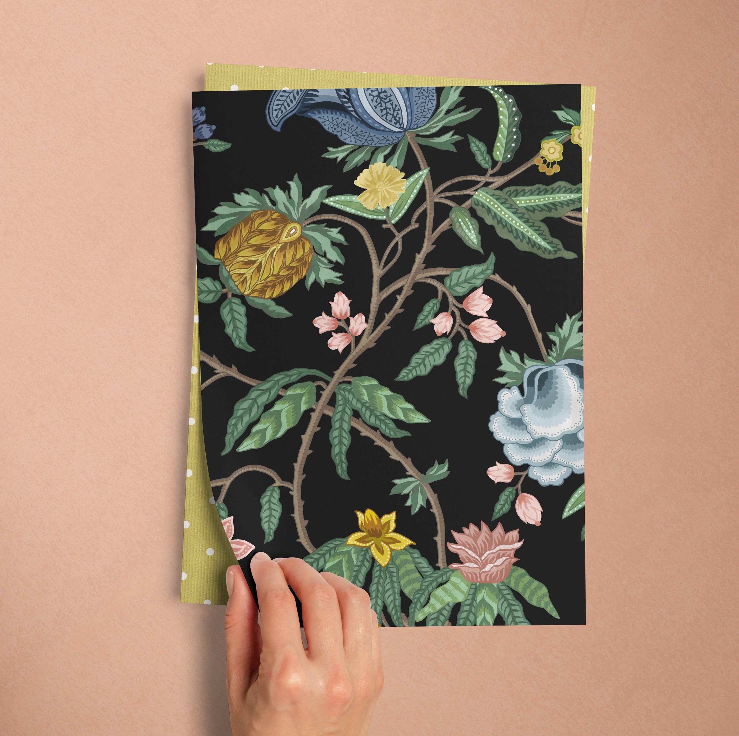 A4 SAMPLE ASTER INDIENNE IN BLACK SANDS