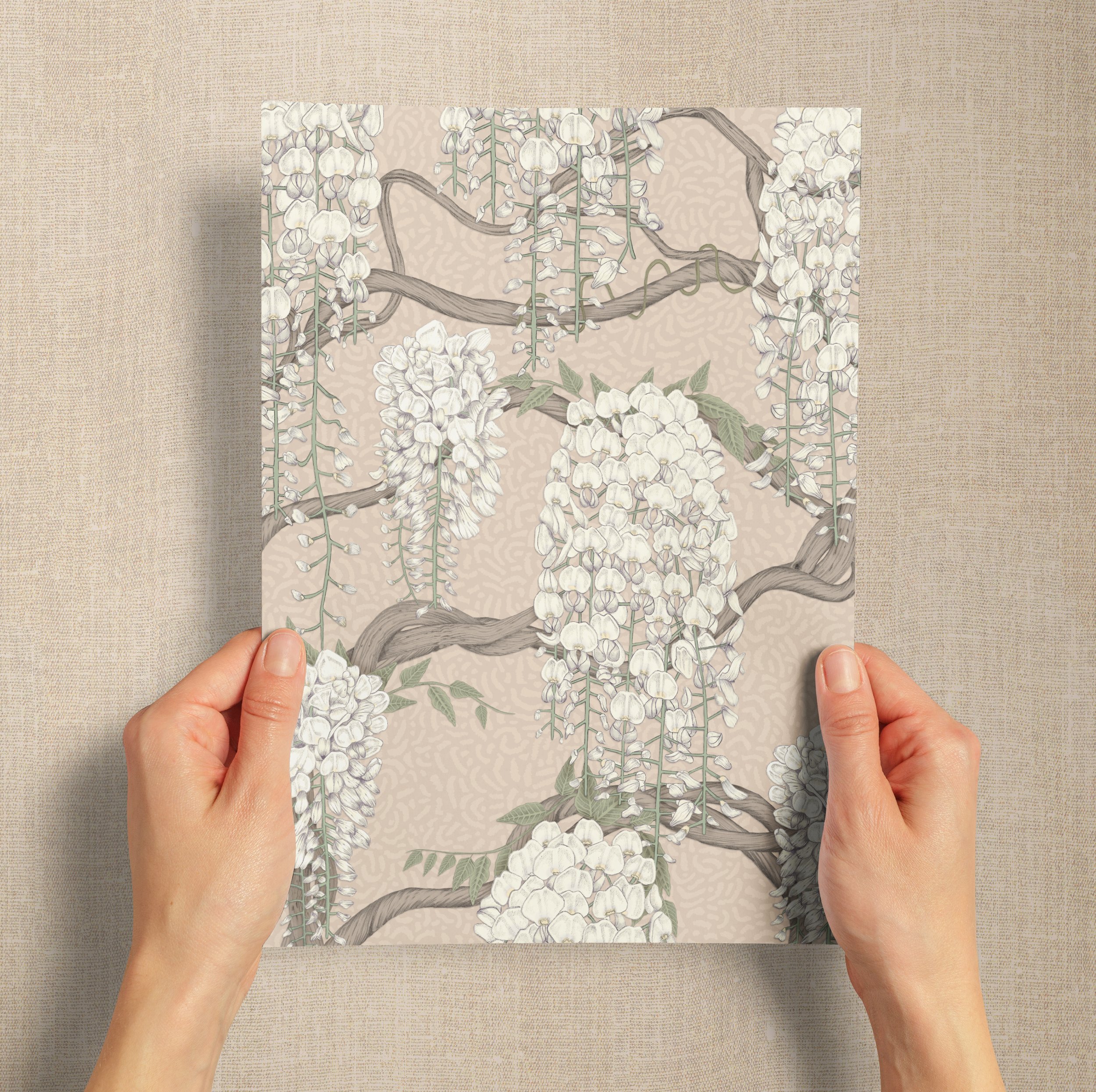 A4 SAMPLE WISTERIA LANE IN NATURAL