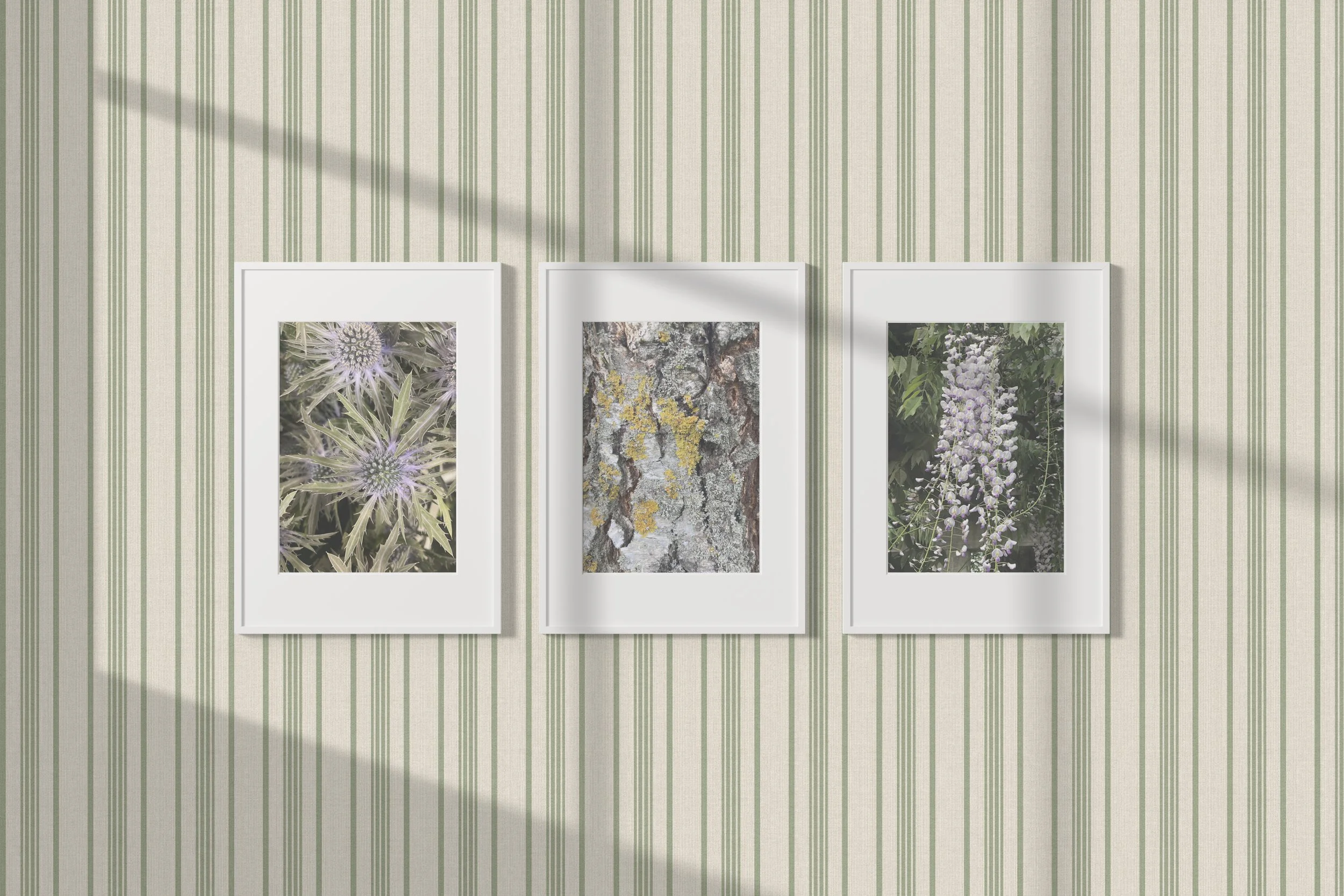 HUMBLE STRIPE IN CELADON