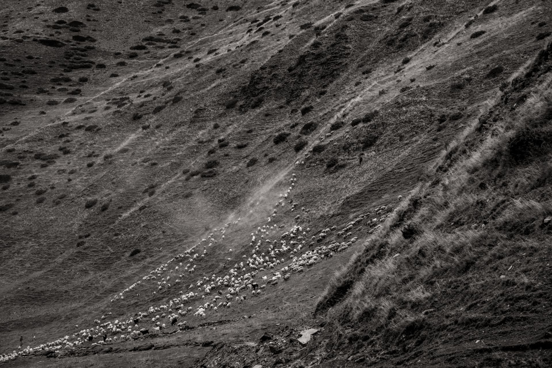 DSC_2856.jpg