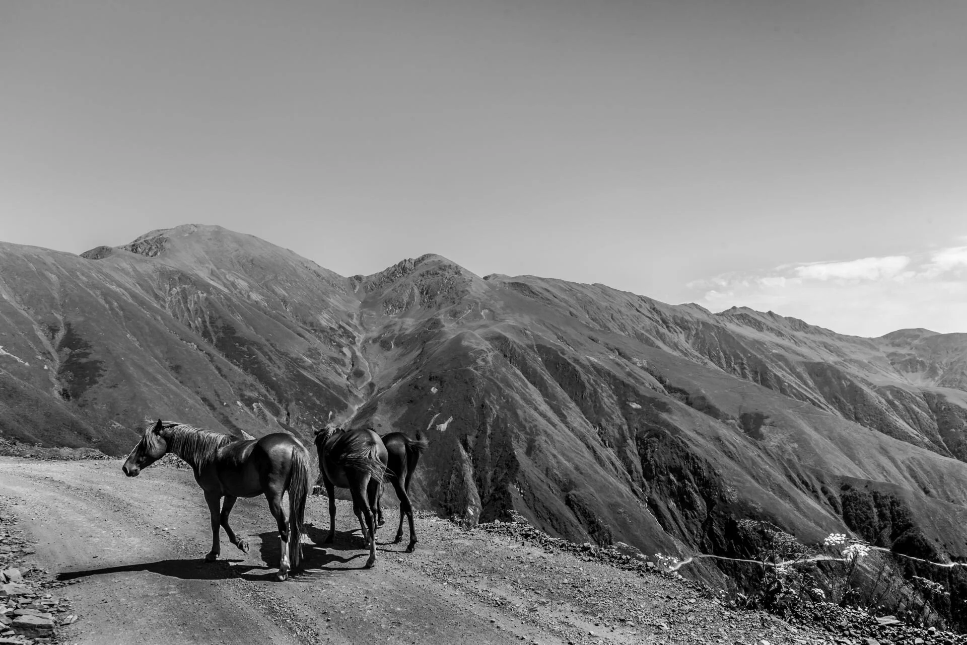 Tusheti2.jpg
