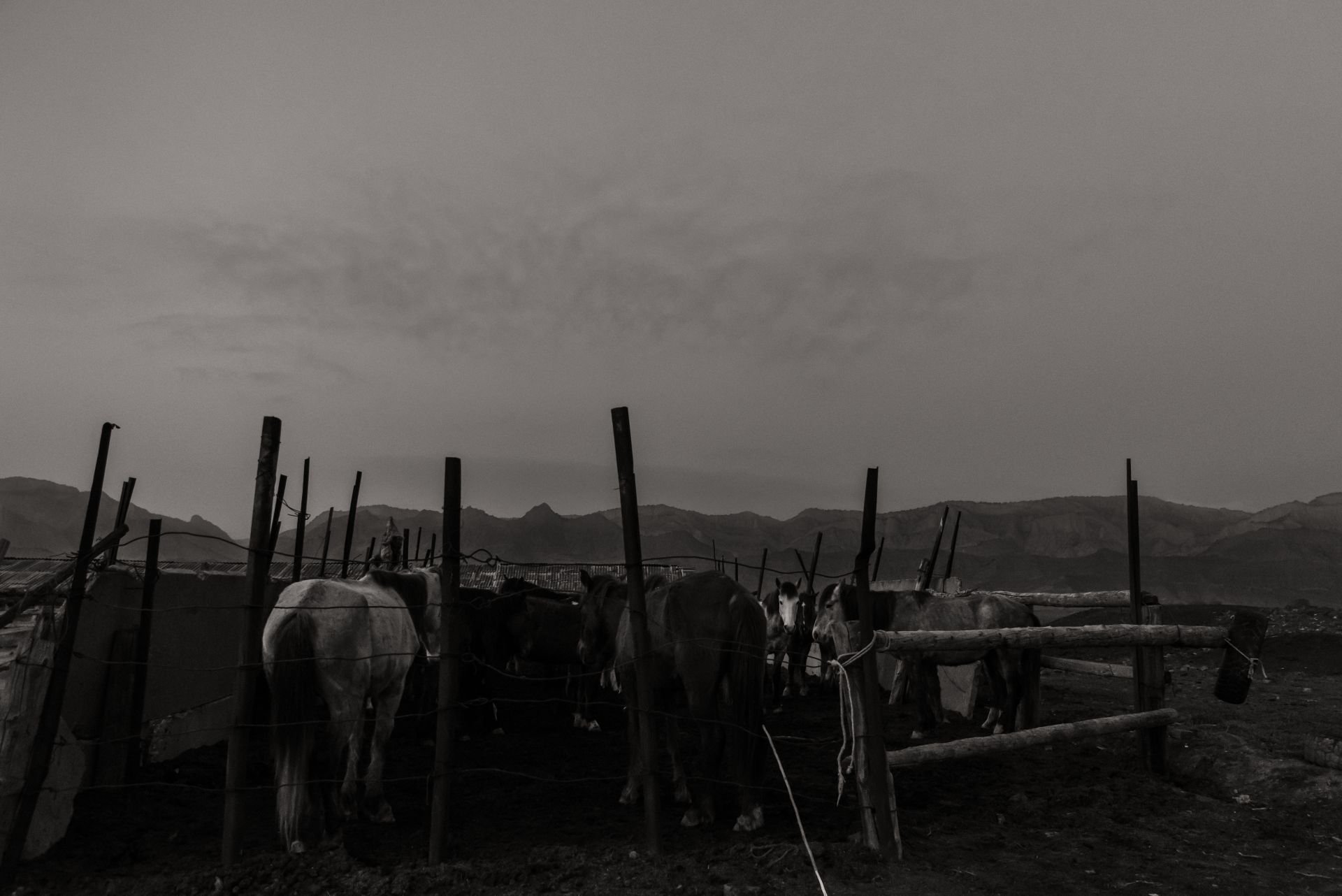 DSC_9510.jpg
