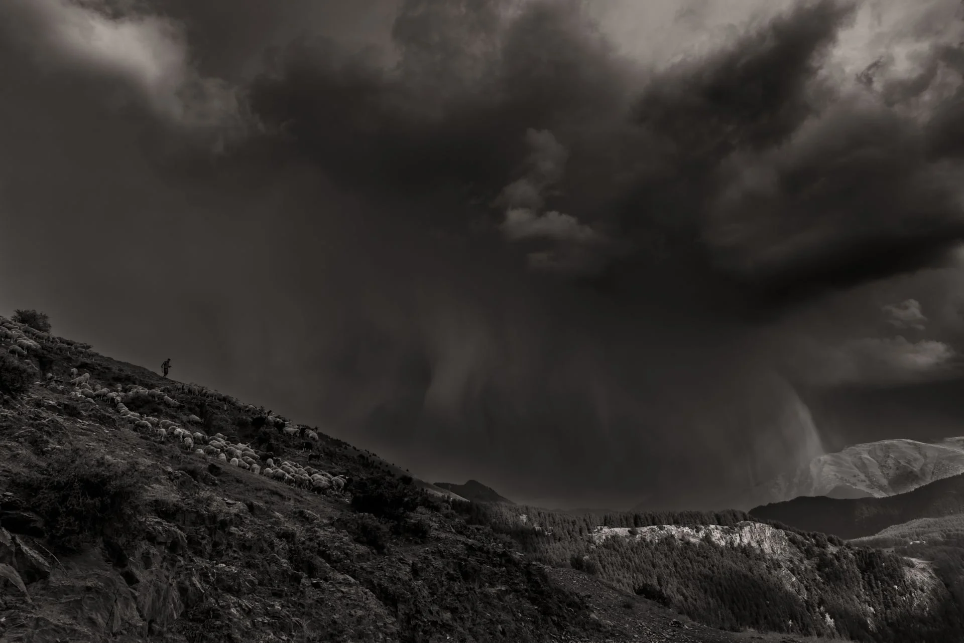 DSC_3696arbetets-Enhanced-NR-2-1.jpg