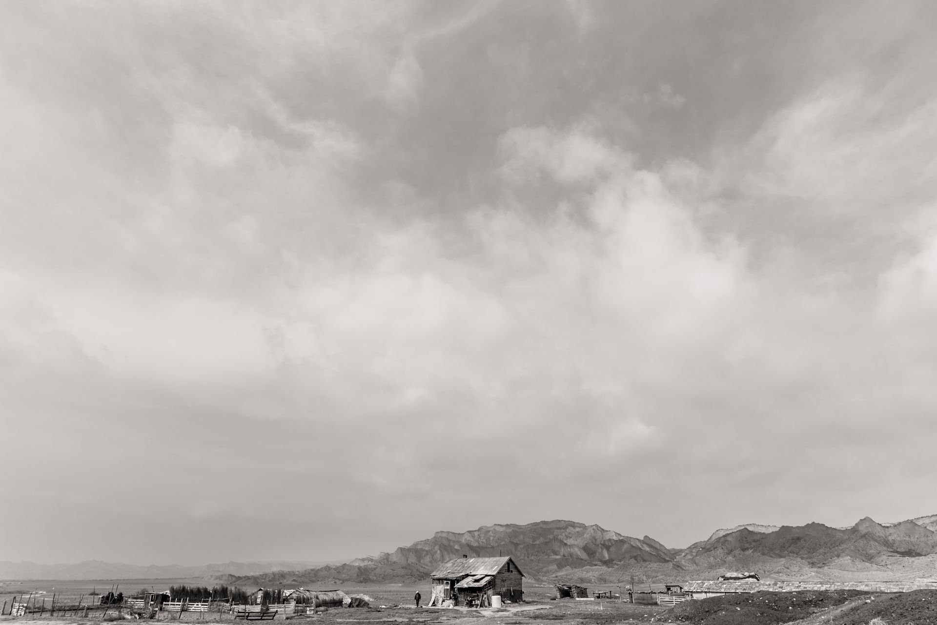 DSC_9666.jpg