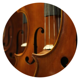violin v2.png