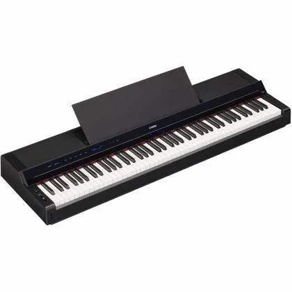 PS500