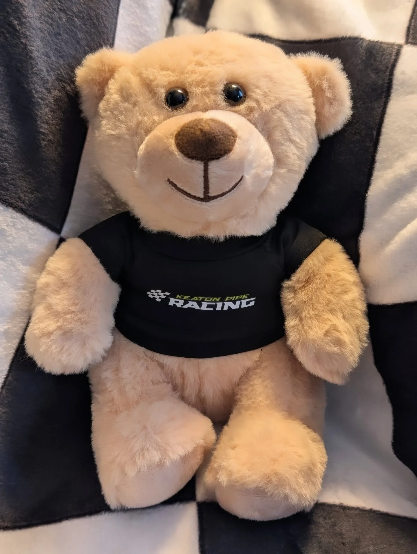 Introducing our new merch item for 2026! Meet Camber...a plush Teddy Bear sporting his very own Keaton Pipe Racing T-shirt. ☺️👕

Camber will be for sale under the Ontario Legend Car Series merchandise tent, at all our races, for $25. Grab yours this