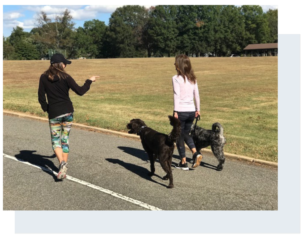 InHome Private Training (Copy)