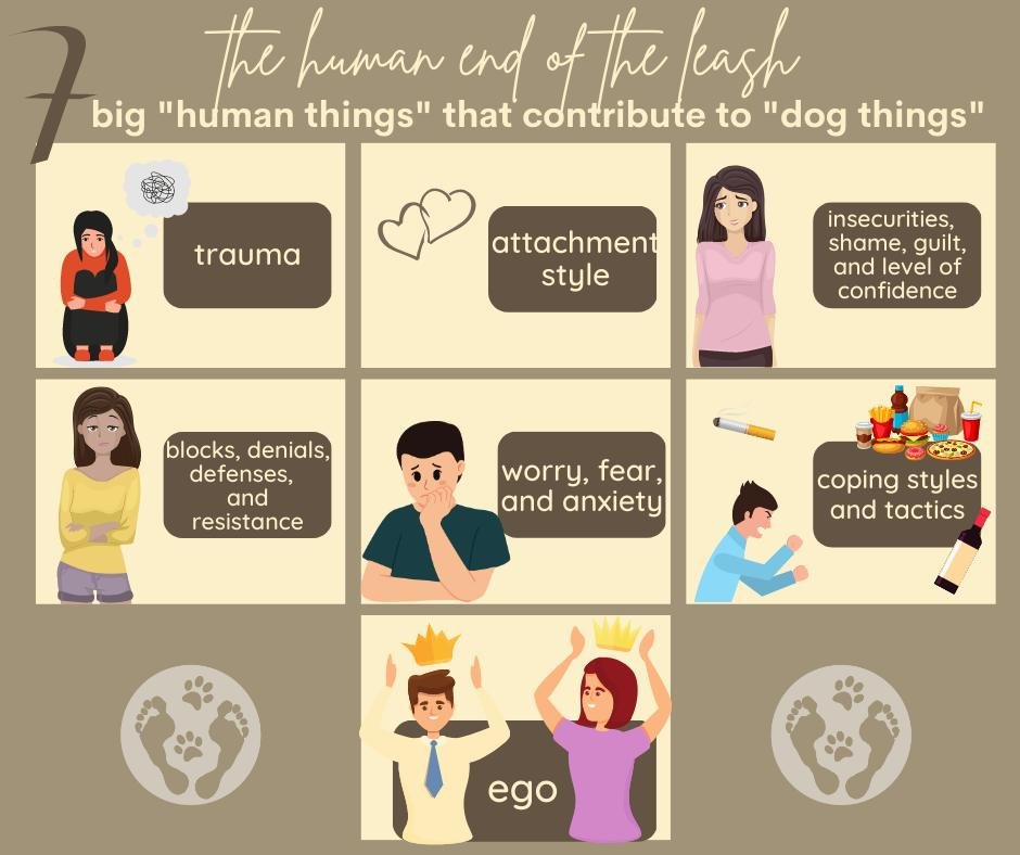 The 7th Big Human Thing that Contributes to the Big Dog Things