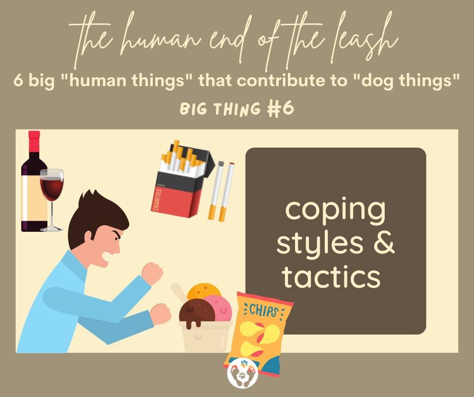 The 6th Big Human Thing that contributes to the Big Dog Things