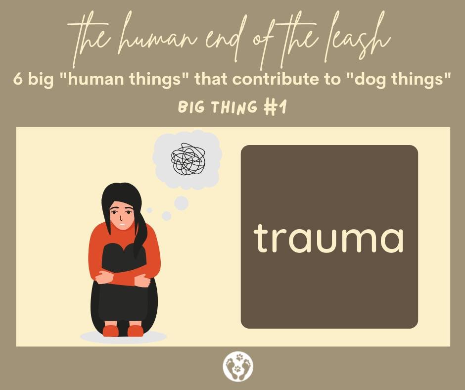 #1 of the “Big Human Things that Contribute to the Big Dog Things”