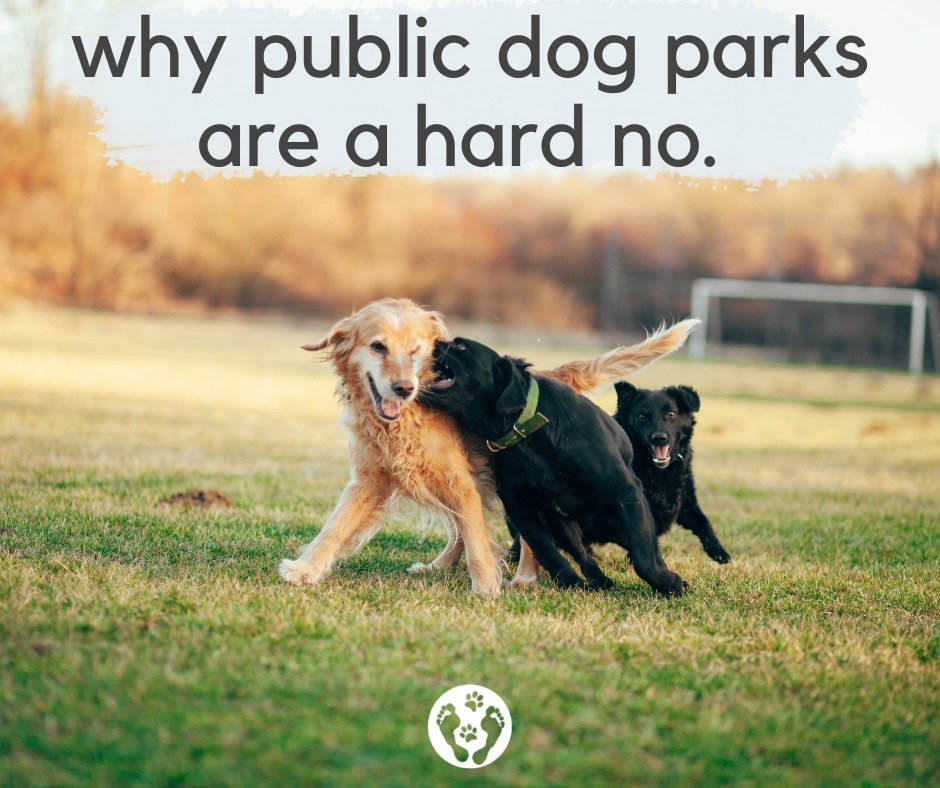 Why Public Dog Parks are a Hard NO