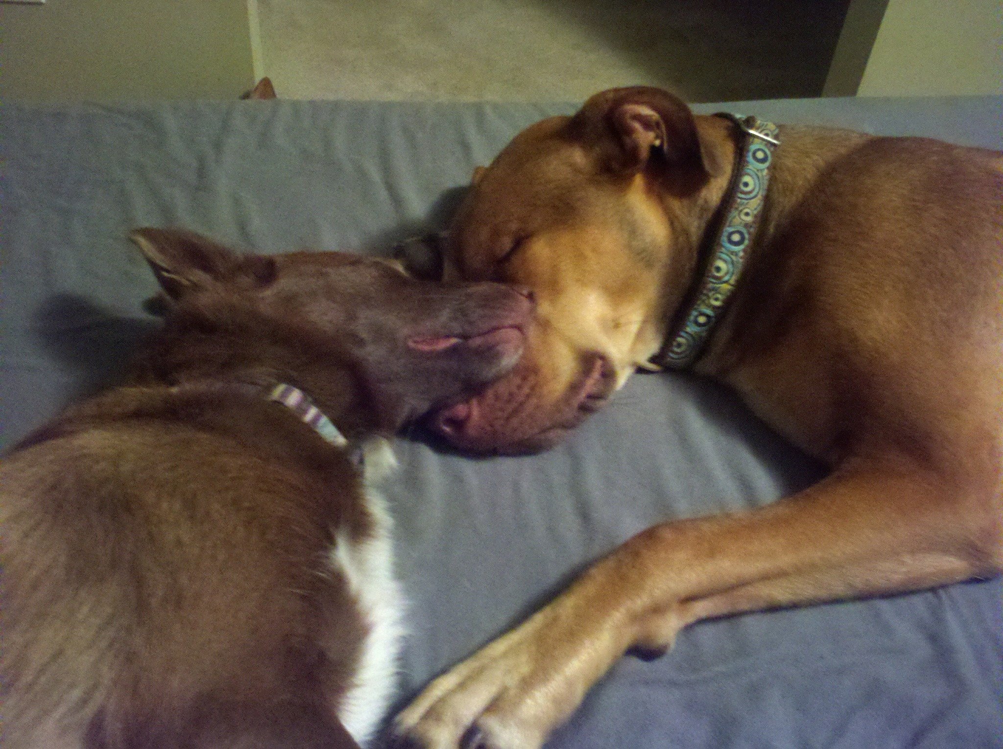 I awoke last night to your presence….