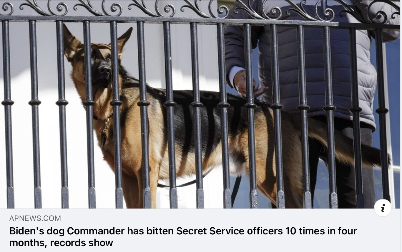 Biden’s dog, Commander. History repeating.