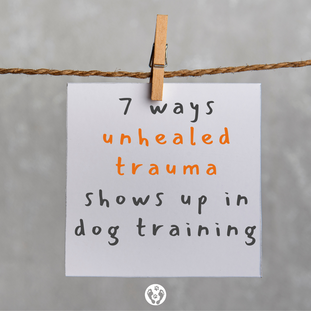 7 Ways Unhealed Trauma Shows Up In Dog Training