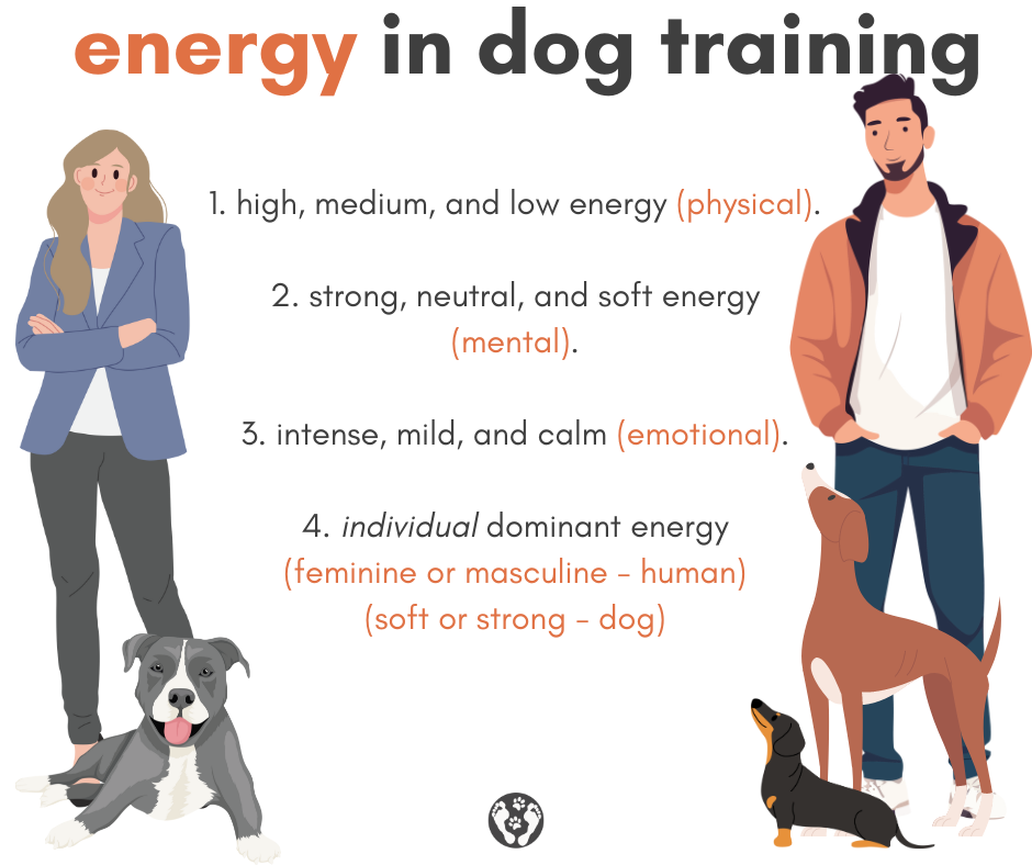 Energy in Dog Training