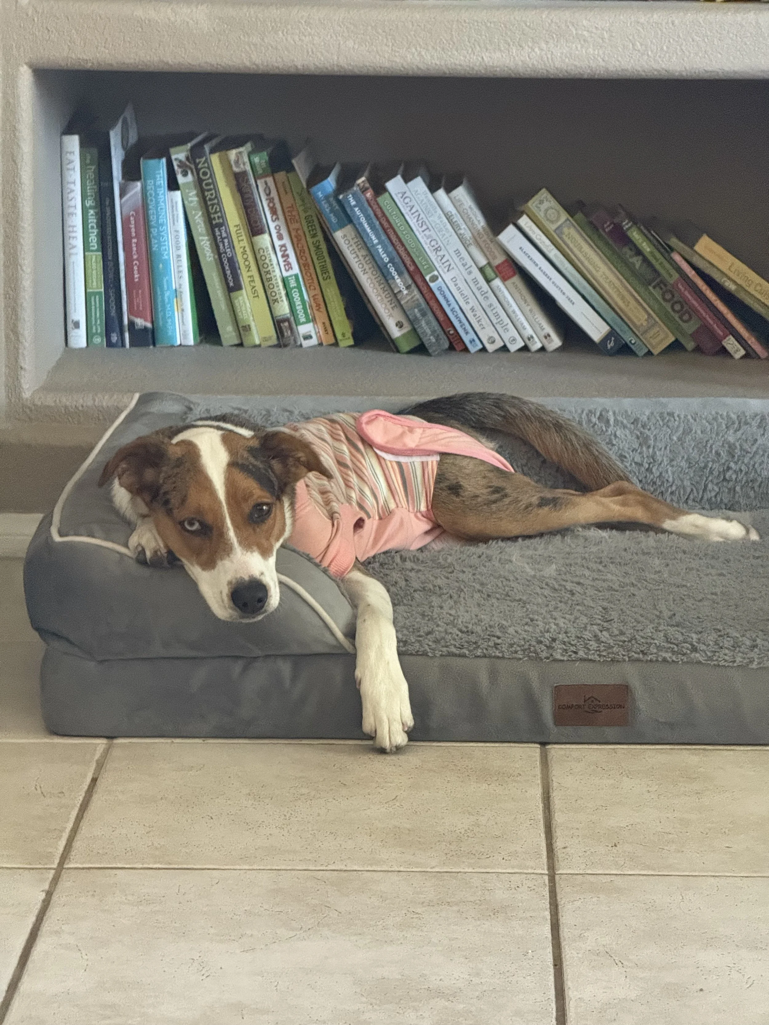 Navigating the Hard in Responsible Rescue.