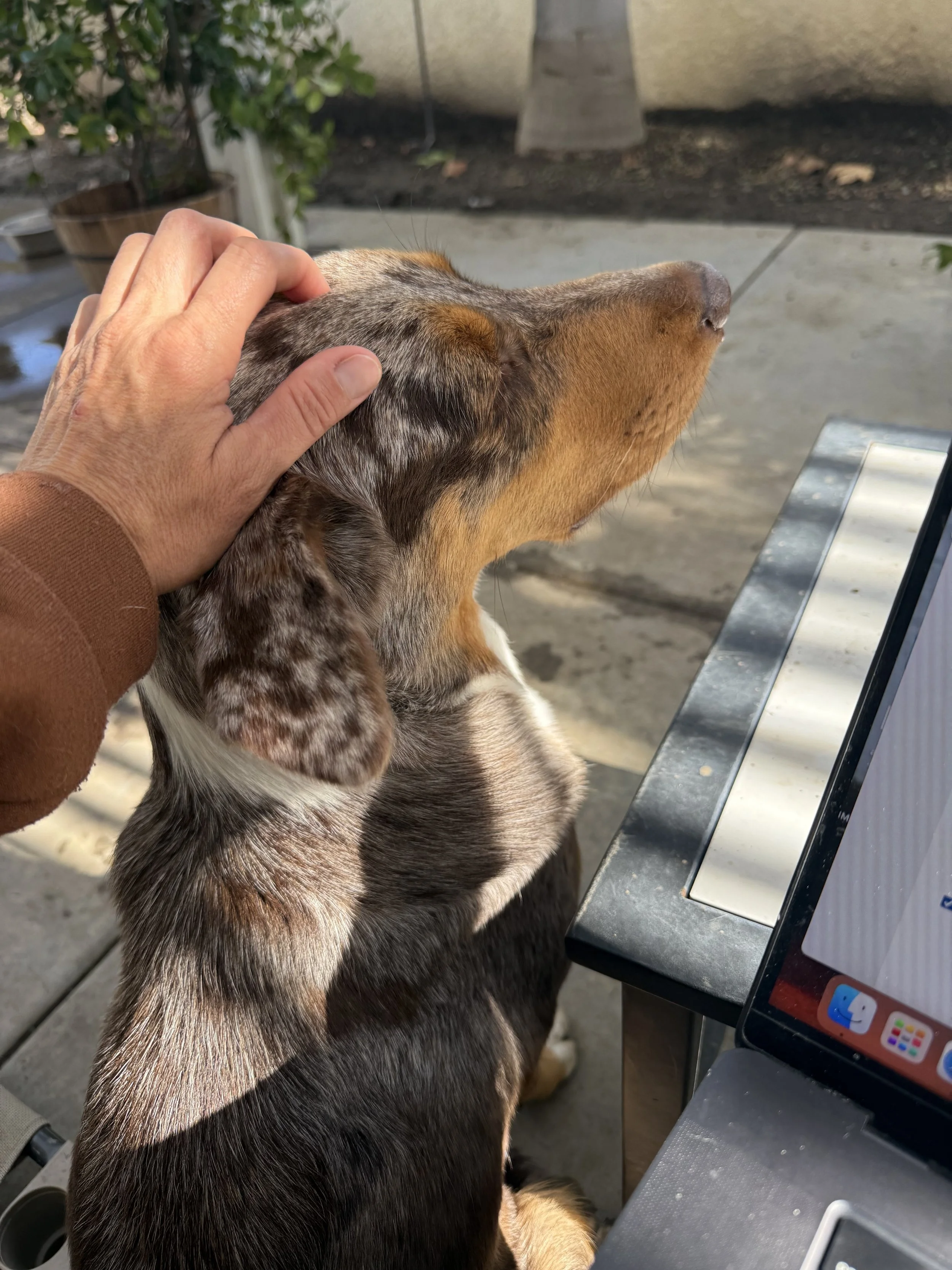 We’re 40% of the Way There.