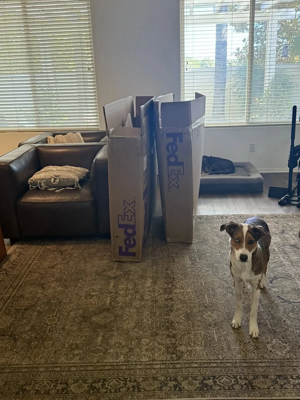 When No One Else Would — Why I Chose This Path