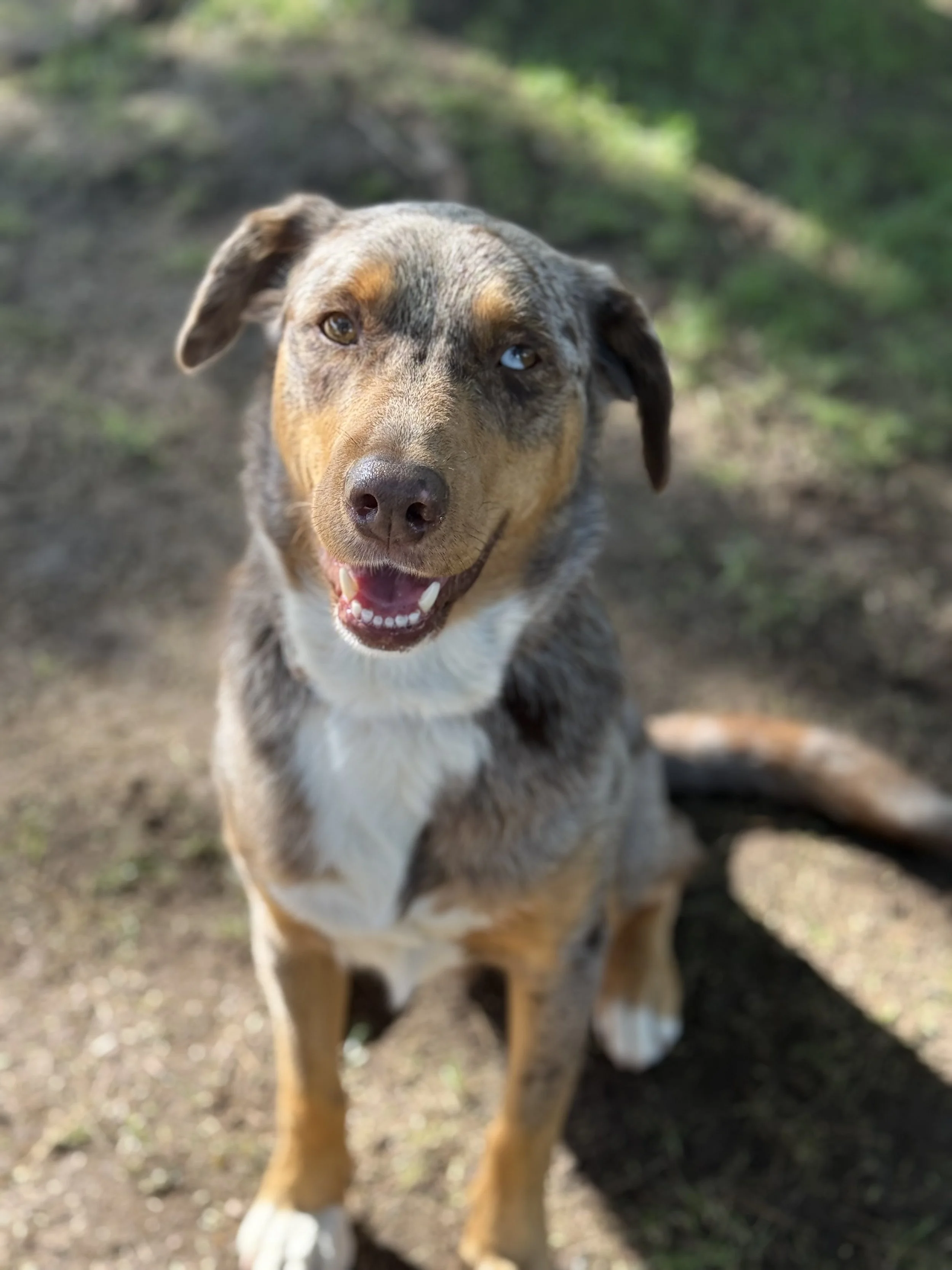 Divine Intervention.