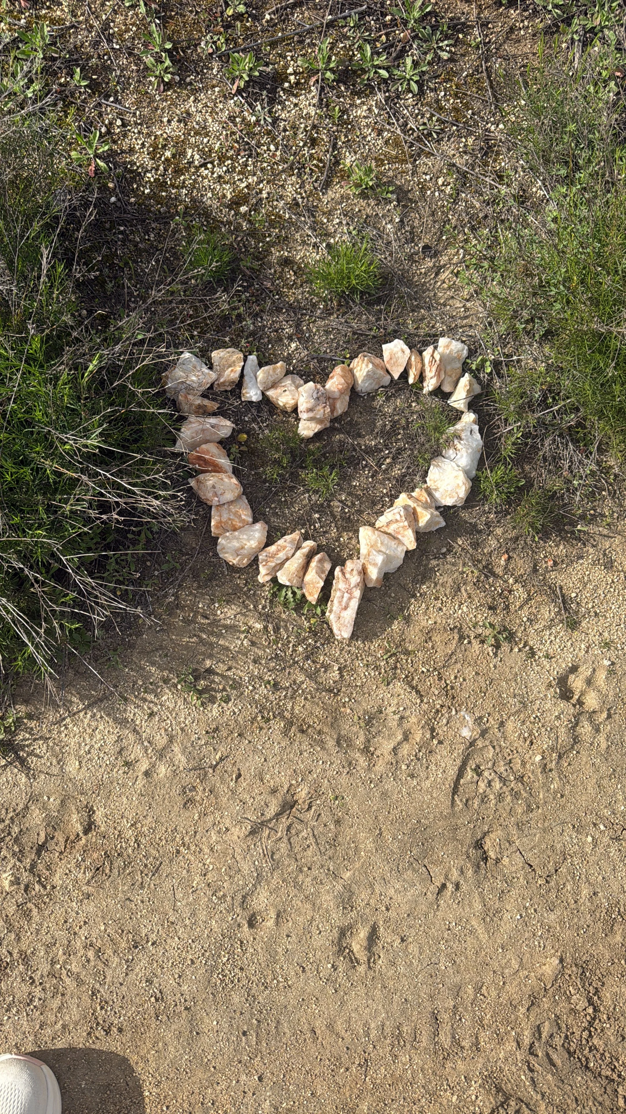 Affection is not fluency. Good intentions are not a safety plan.