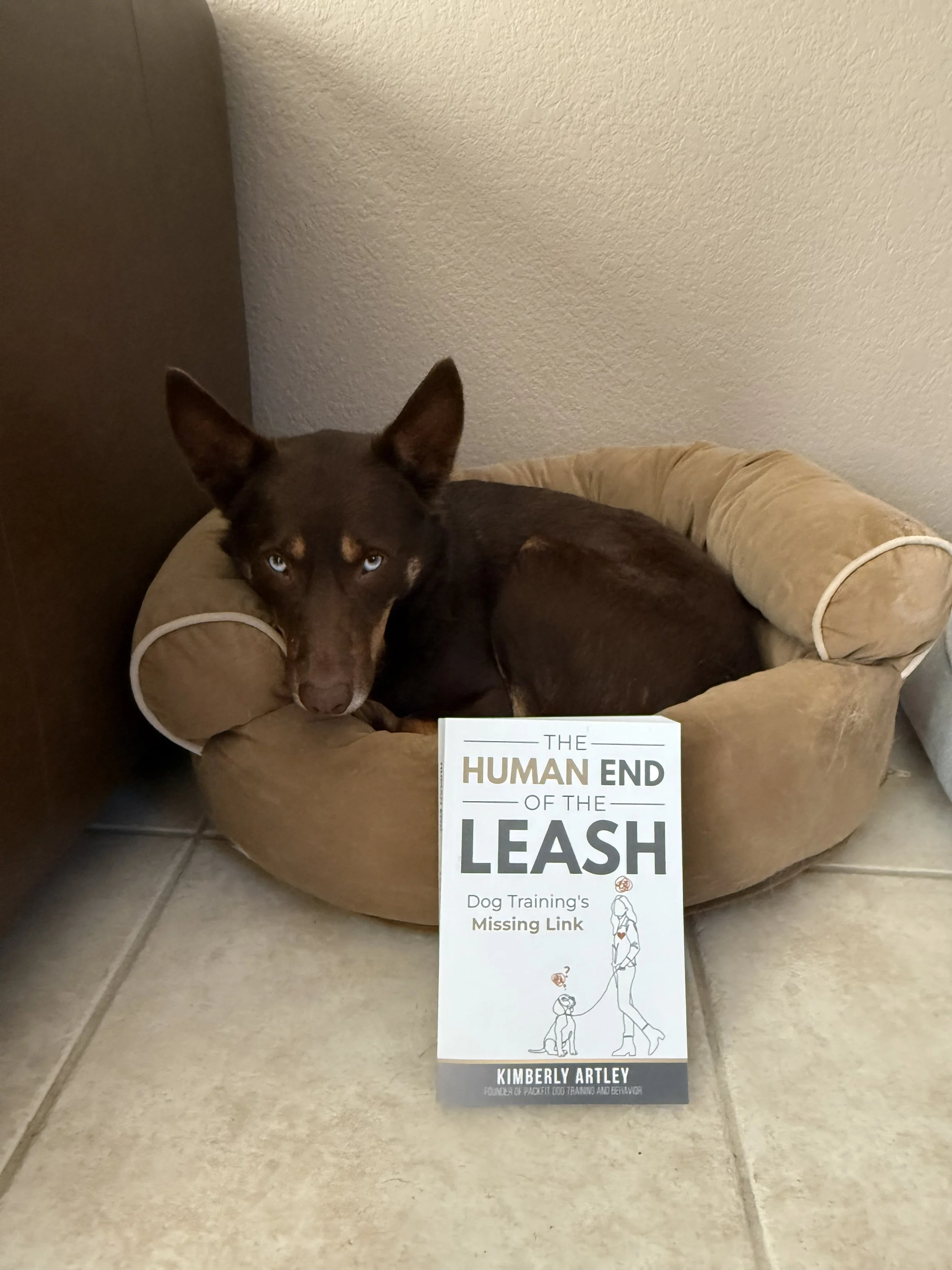 I hired trainers… seven of them.