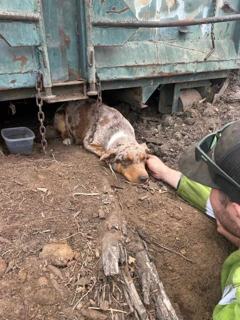 What started as “helping an abandoned dog and her puppies” changed everything.