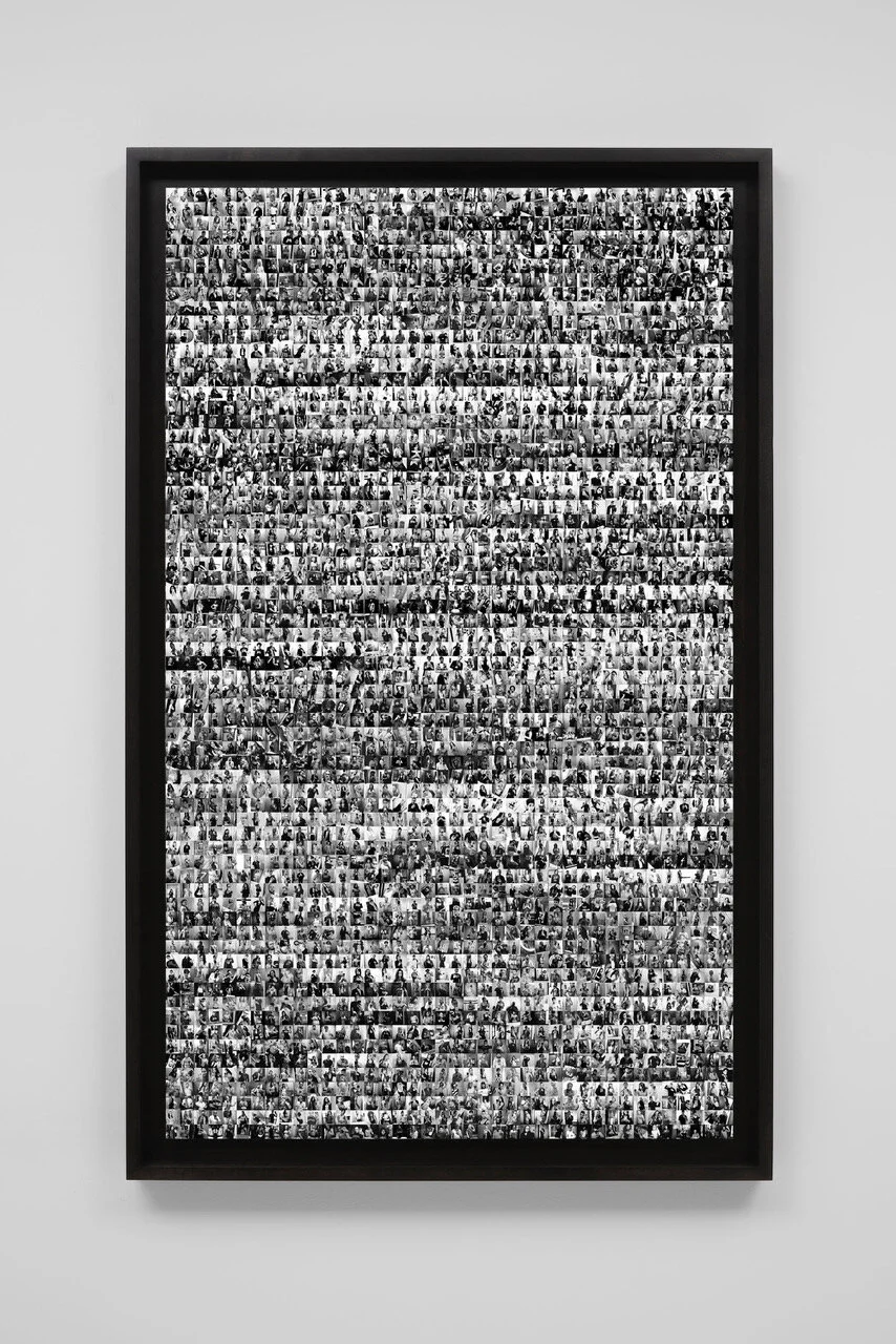 Cassandra Zampini Sector I.jpeg