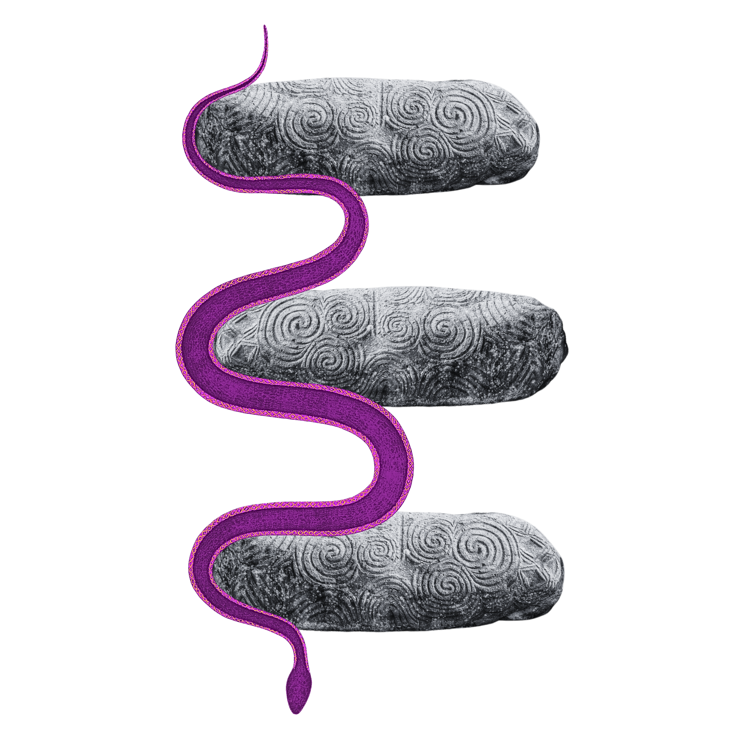 A diagram showing a parasitic worm infecting a human intestines, with detailed internal structures.