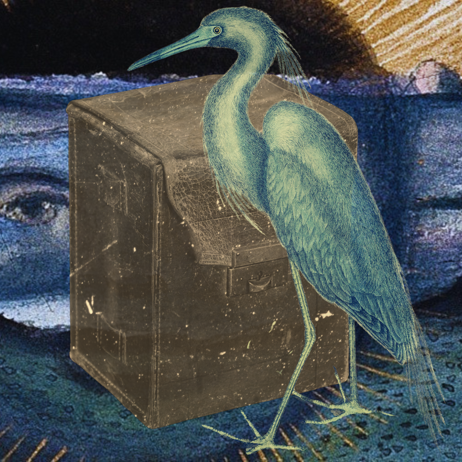 A digitally manipulated image of a heron standing next to a black box, with a surreal background of a mountain and ocean scene.