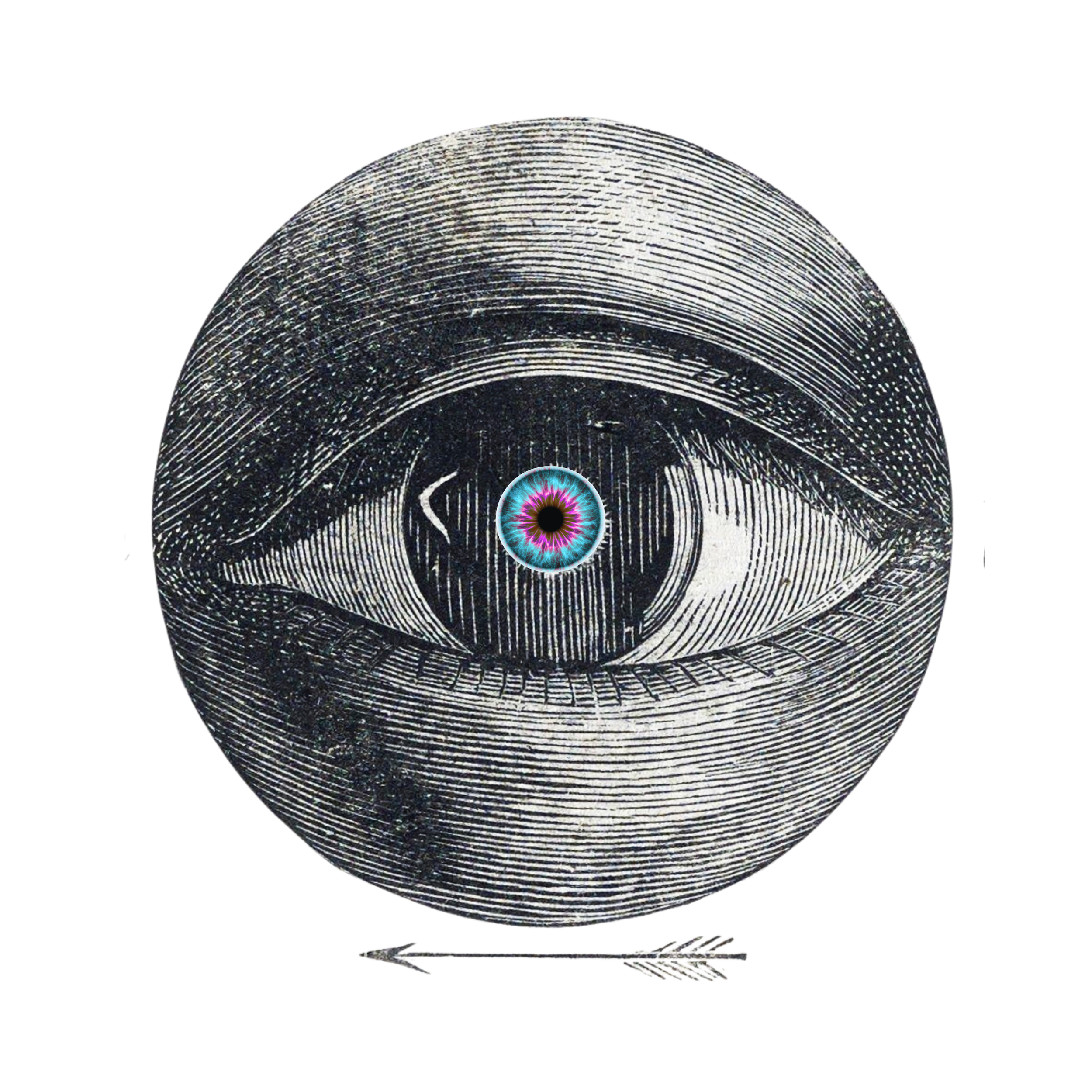 Close-up of a fingerprint, a colorful eye-like shape, and a small feather on a black background.