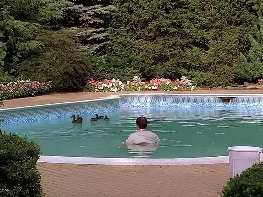 Think of your target audience as ducks in the pool. You’d do anything to get them back. I’ll be Dr. Melfi