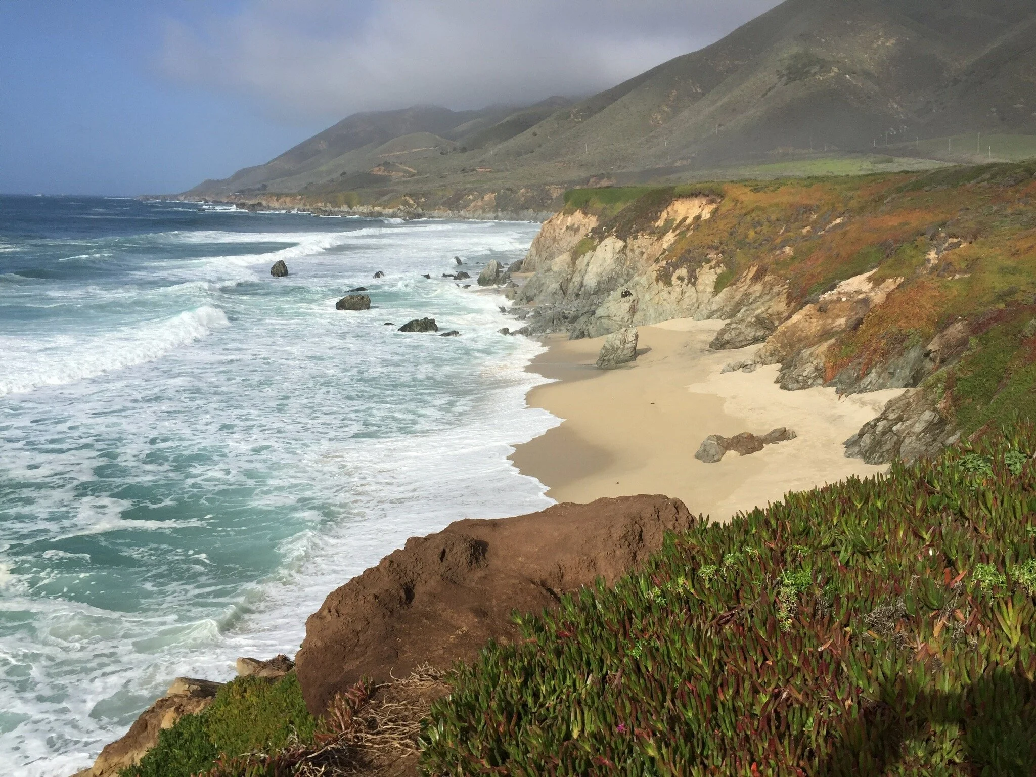 Rose Bio Blog: reflections and tales of life science startups