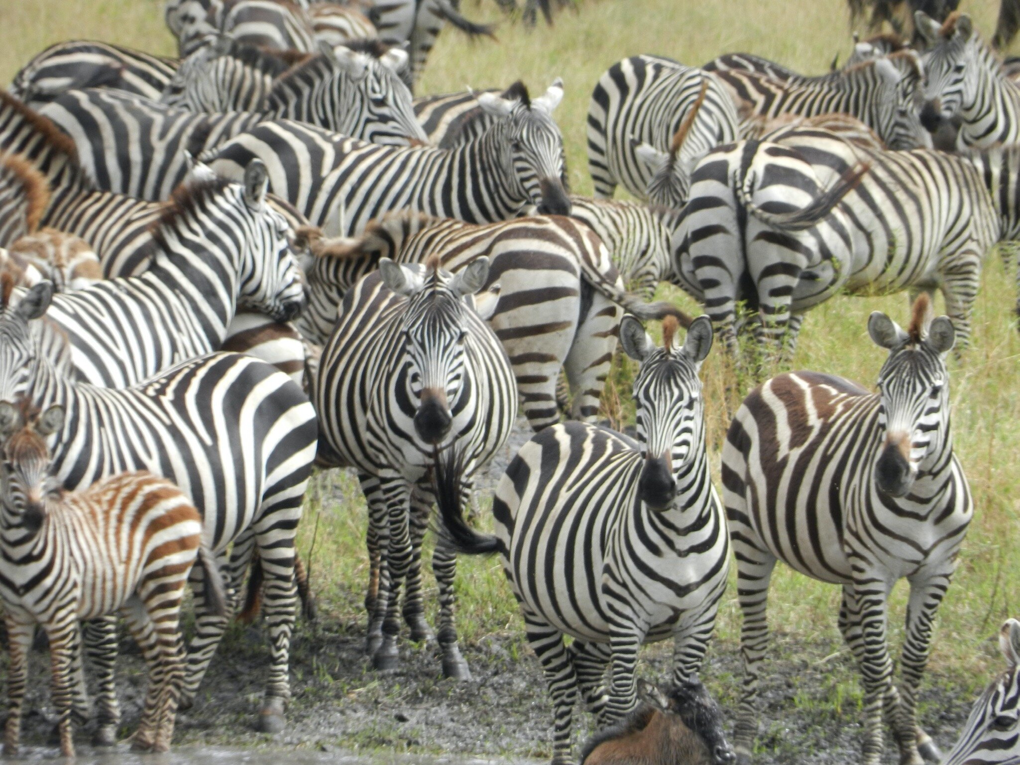 Paradigm shifts and unexpected catalysts