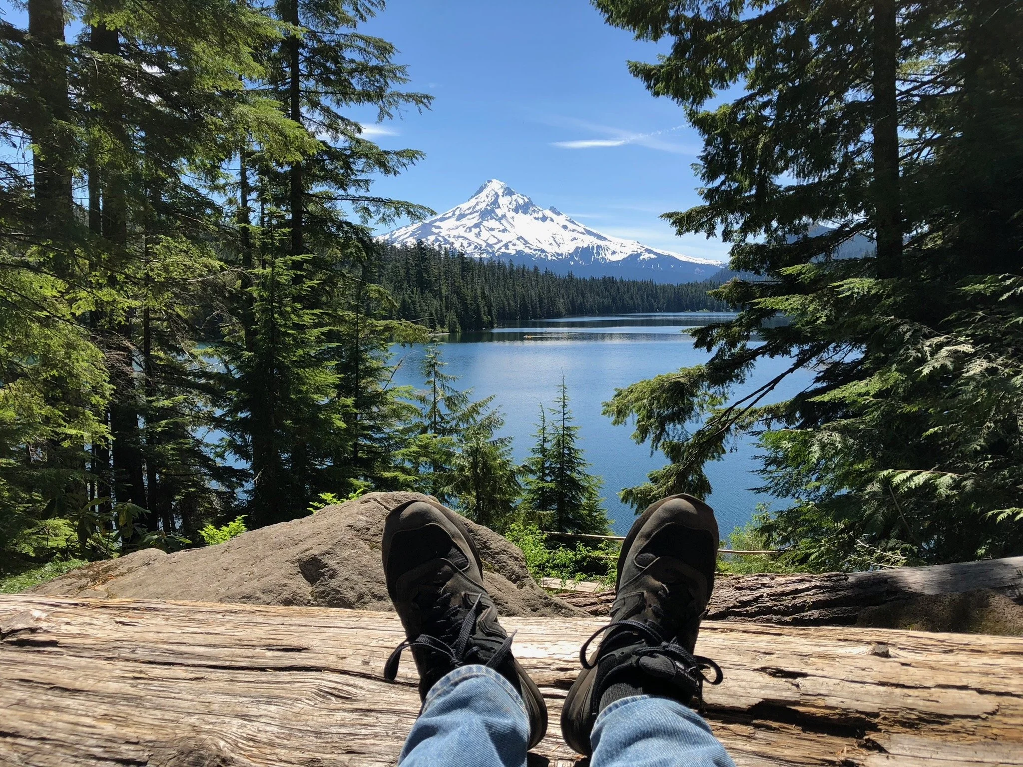 KOLs and Micro-Influencers