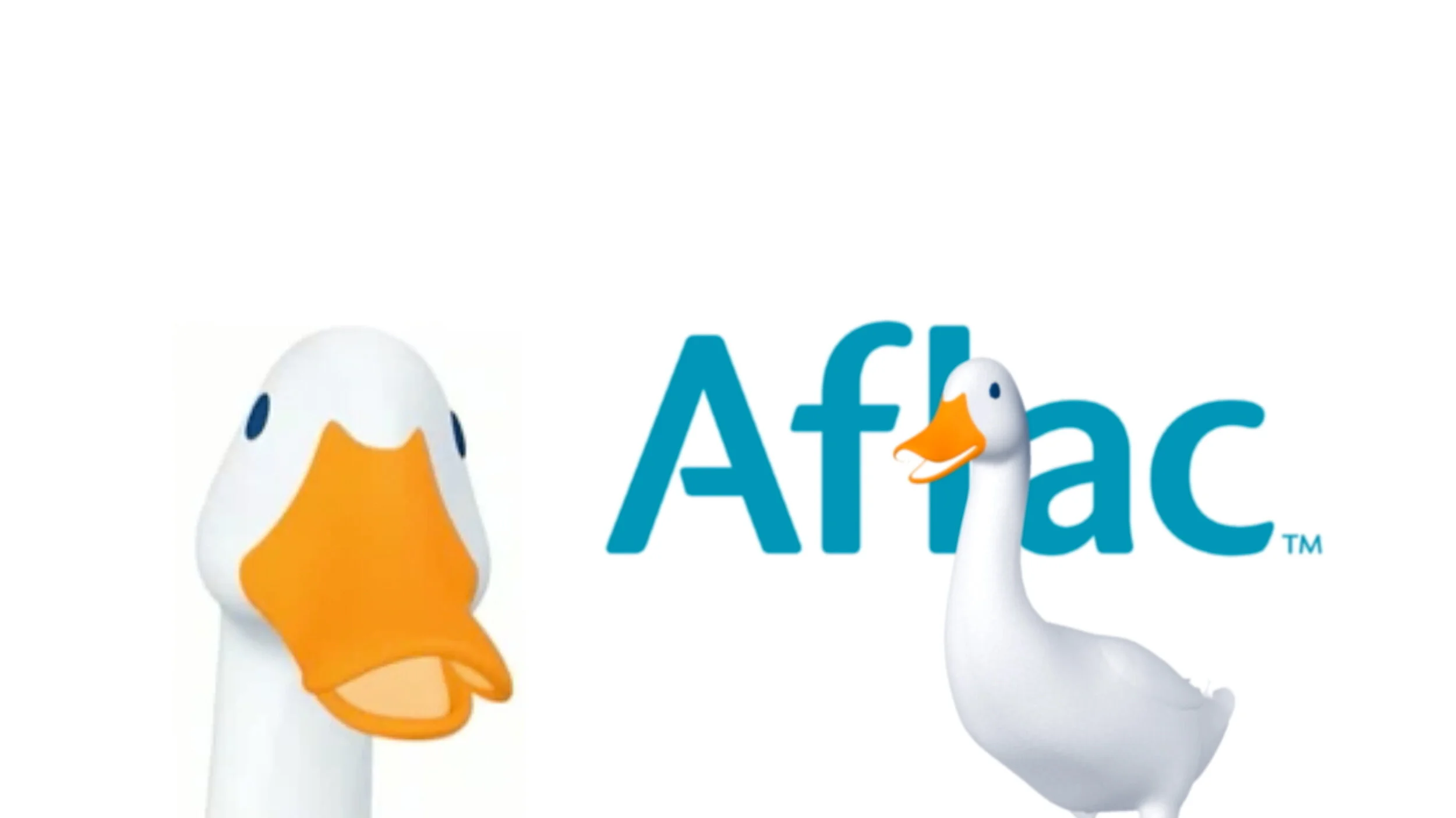 afl_2 ducks.jpg
