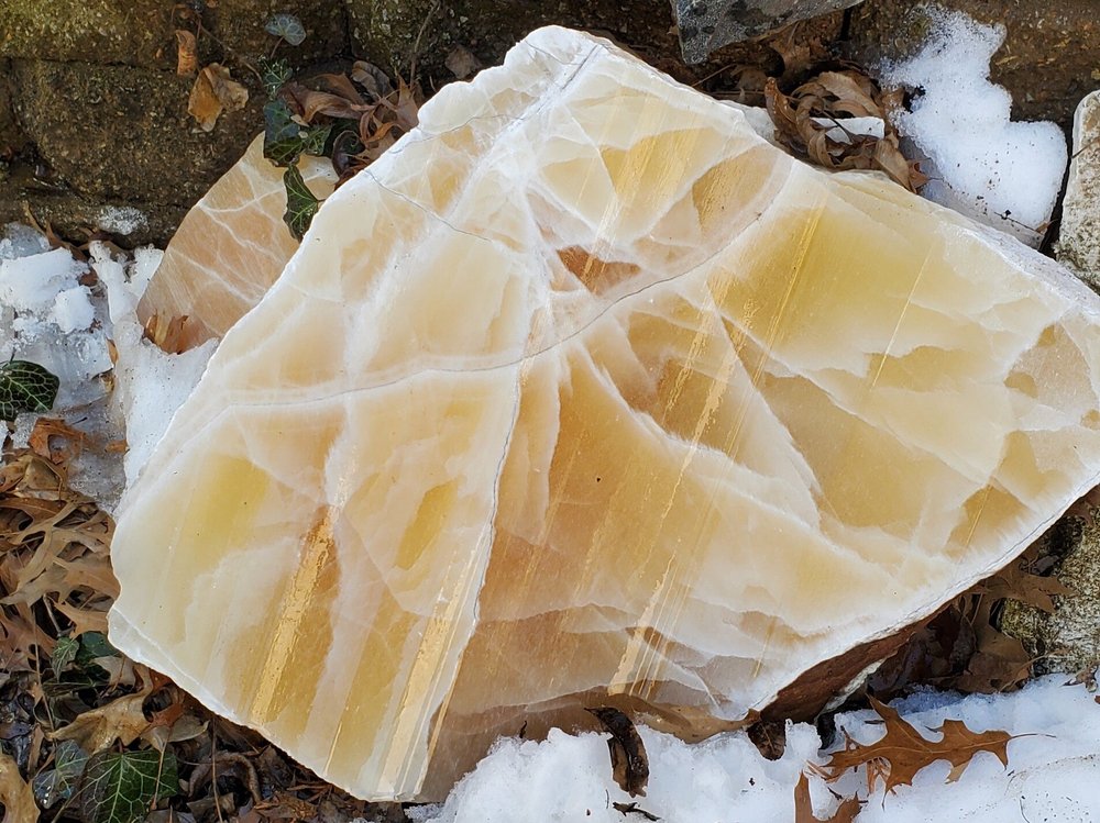 Pricing Guide — Wayne Trinklein