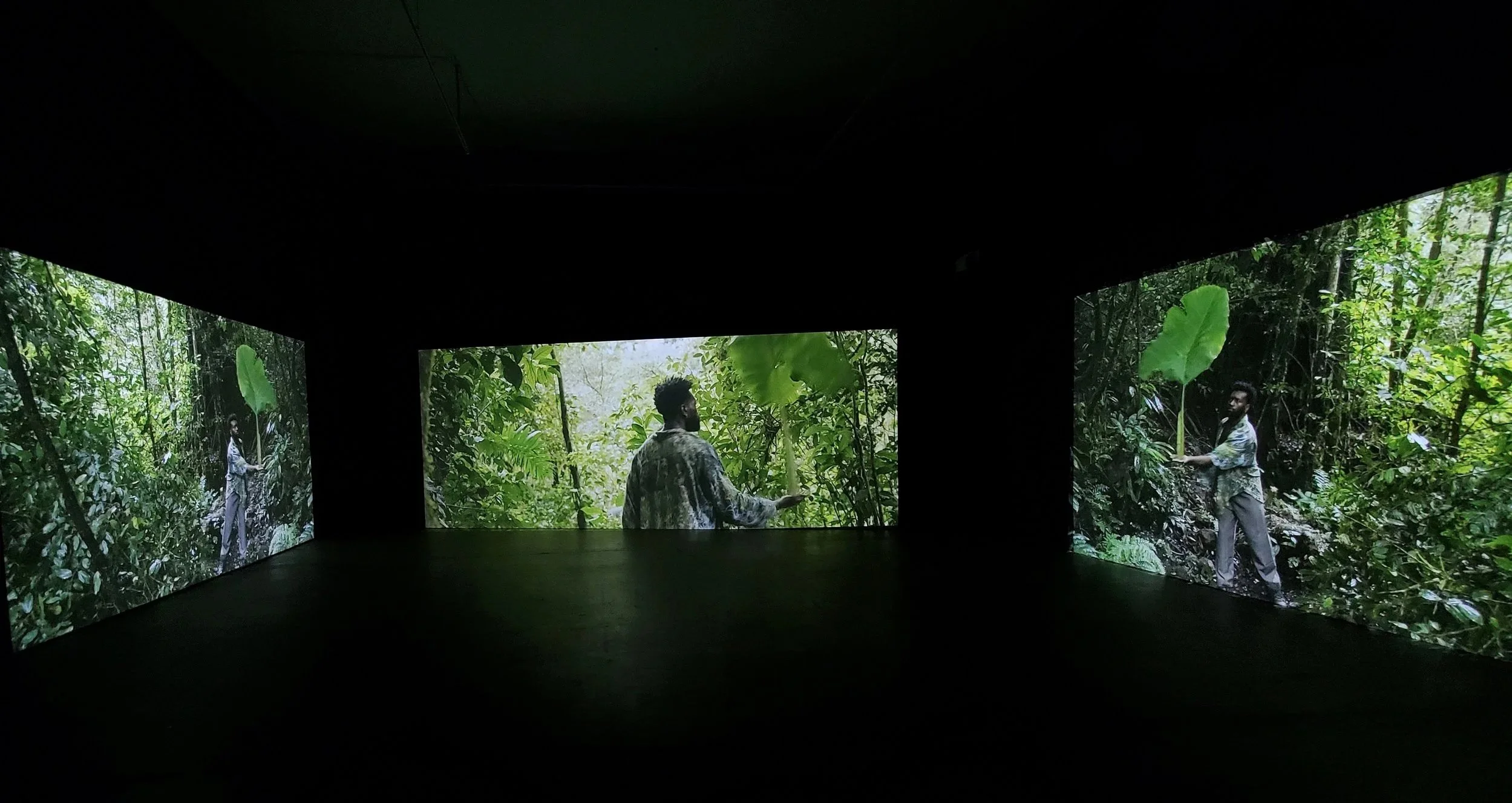 "Eclipse (Amazon, September 7, 1858)," 2025
(three-channel HD video with spatial sound)