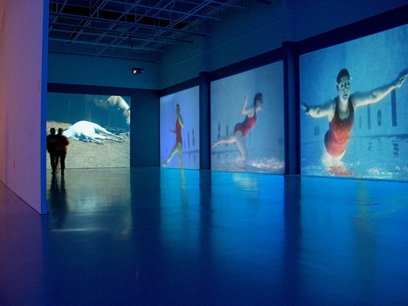 "Flight," 1999 (four-channel installation)