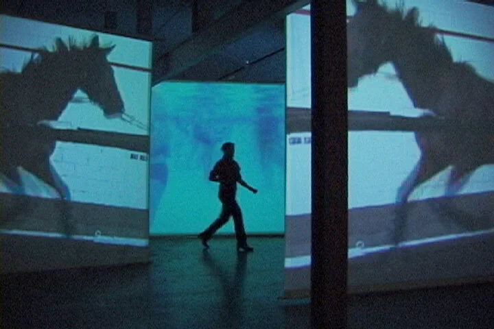 "Ativan," 2003 (three-channel installation)