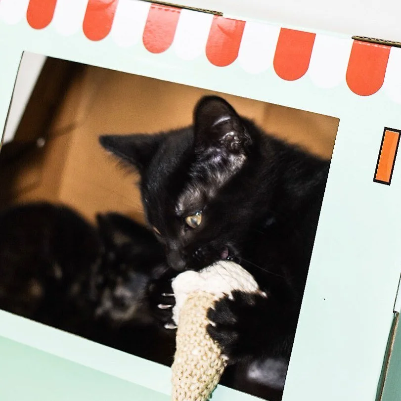 ✨Completely irresistible 🍦✨
.
.
.
Our crochet cat toys are handmade with GOTS certified organic cotton &amp; stuffing, plus our secret weapon: super potent organic catnip 😼🍃
.
Available for purchase on our website on Saturday Nov. 25th!
.
Our very