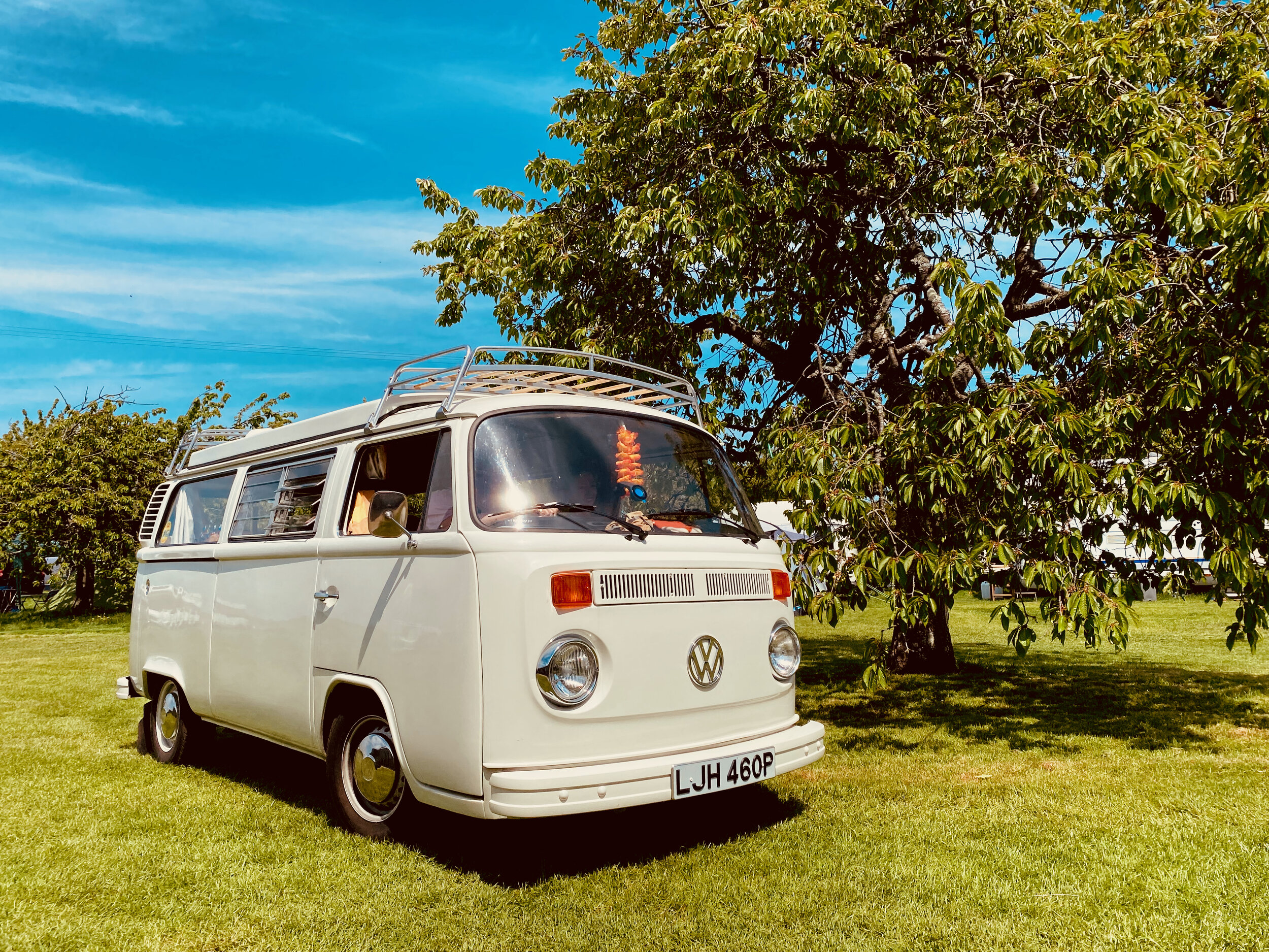 VW campsite Kent