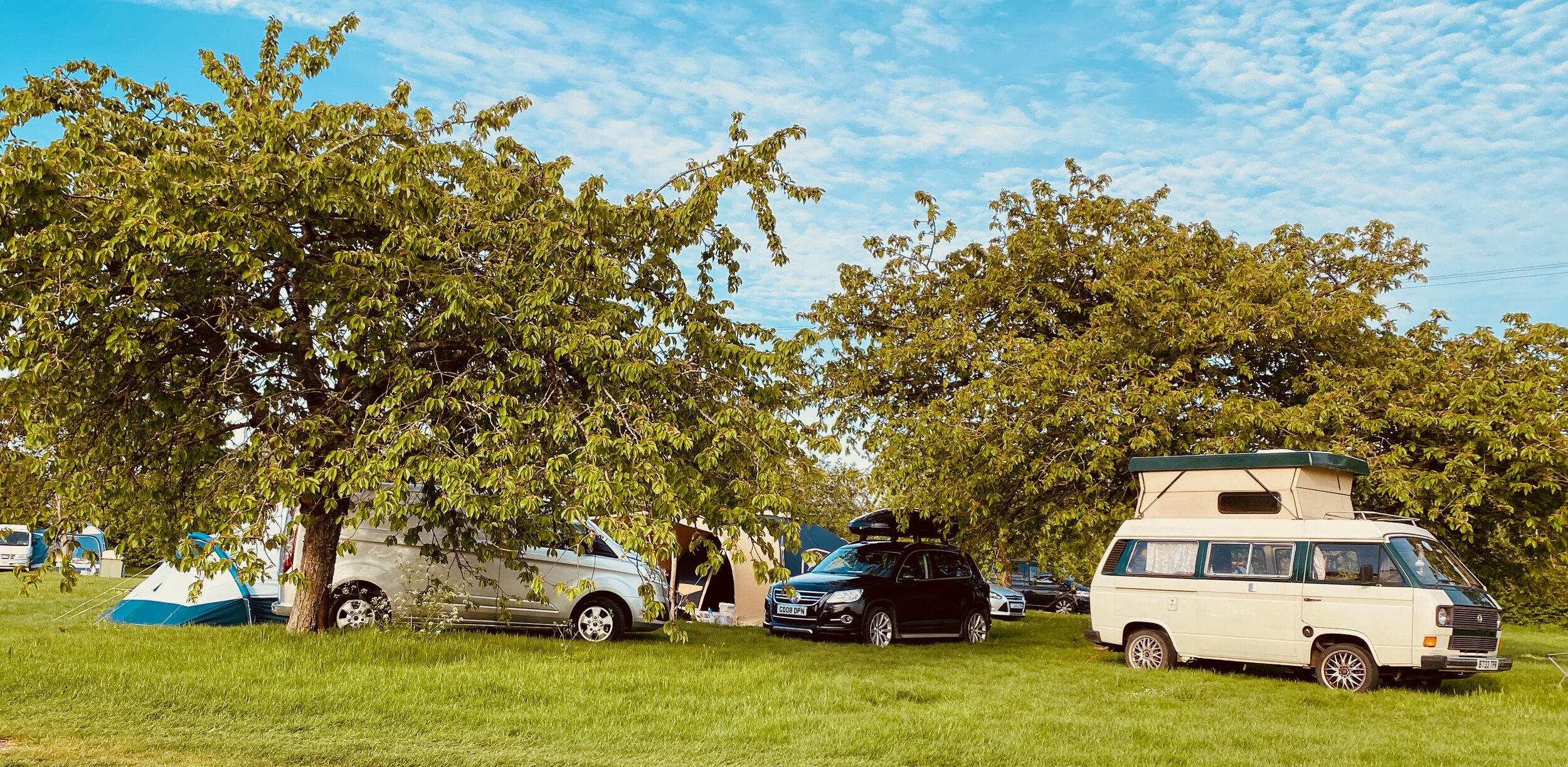 Cherry Orchard Camping