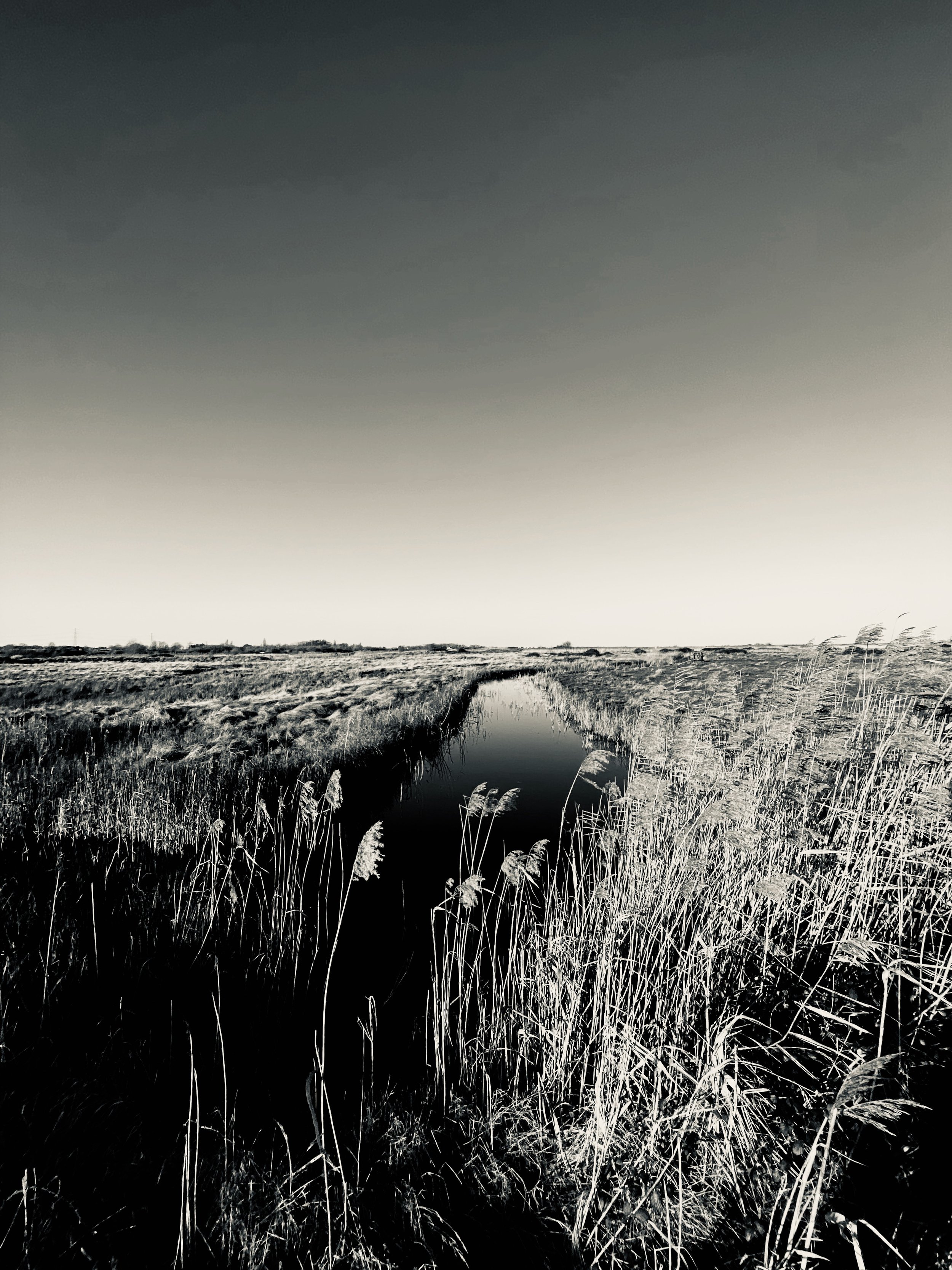 great walking camping