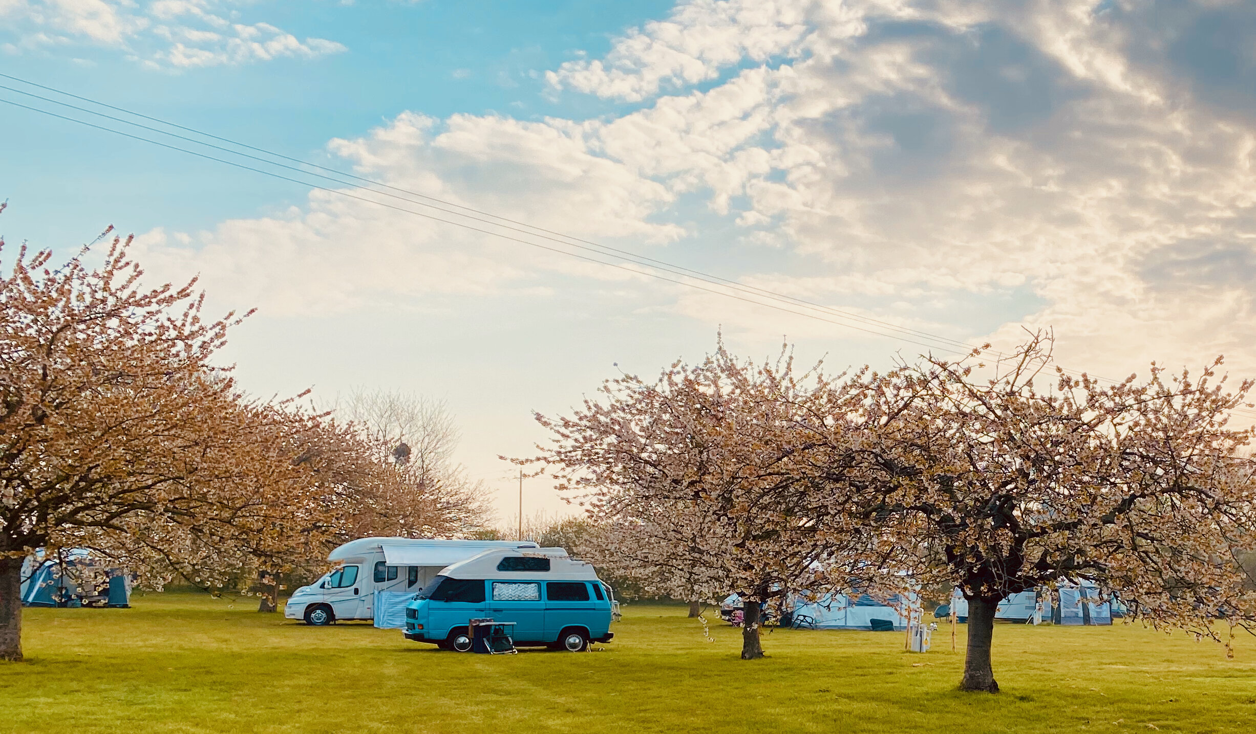 Camp near Whitstable