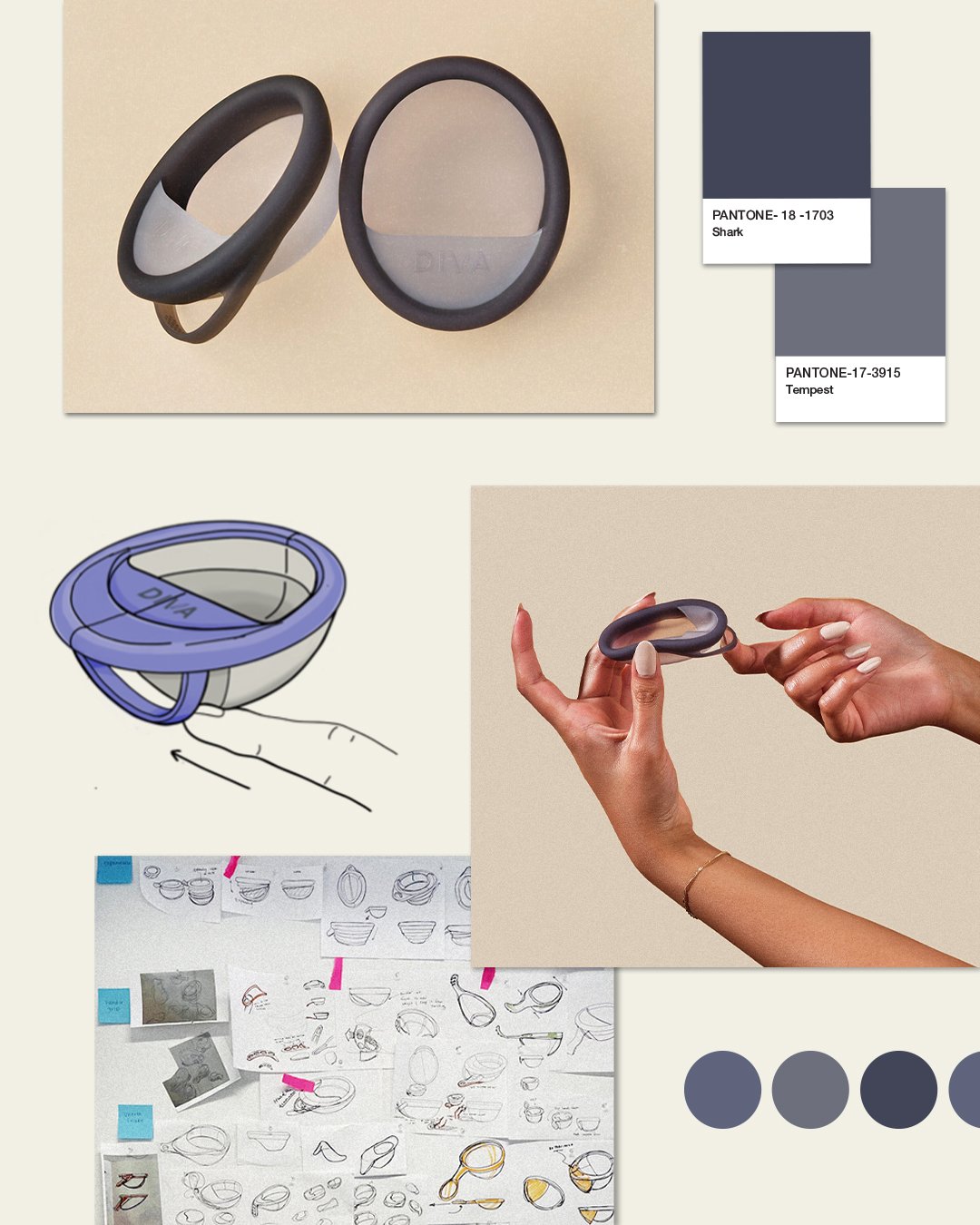 collage bts slide 1.jpg